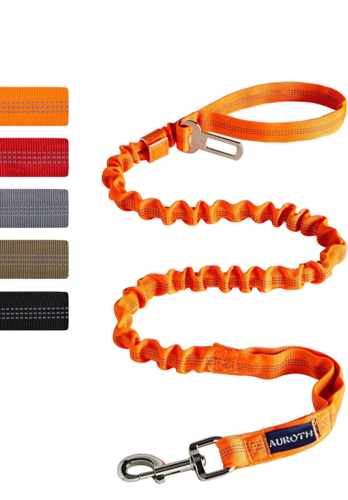 Bungee Dog Leash